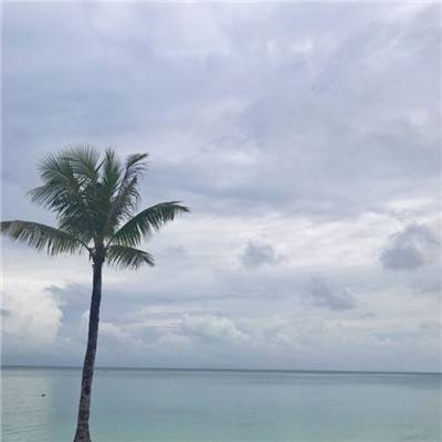 轮回侠影bt版下载
